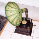 starozitny-gramofon-na-kliku-s-troubou-plne-funkcni-100-let-stary